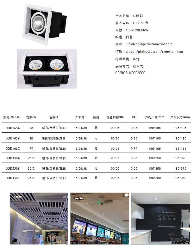斗胆灯单头30W双头60W
